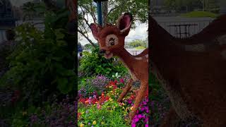 #beautiful #bambi and #thumper #topiary at the #epcotflowerandgardenfestival ❤️ #epcot #flowers