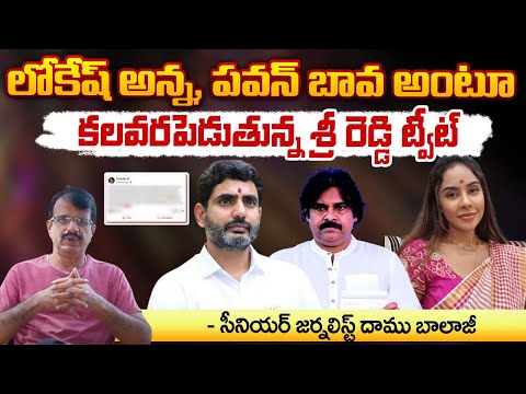 Senior Journalist Daamu Balaji about Sree Reddy Tweet | Nara Lokesh | Pawan | CBN | RED TV FOCUS