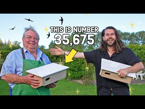 Why Is He Building 40,000 Bird Boxes?