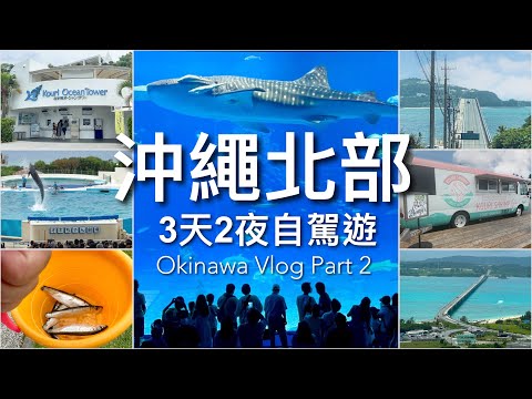 【沖繩旅遊2023 】沖繩北部自駕遊🚗｜名護暖暮拉麵 // 美麗海水族館 🐬 // 古宇利島、名護自然動植物公園｜6 Days in Okinawa PART2 （English Subtitle）