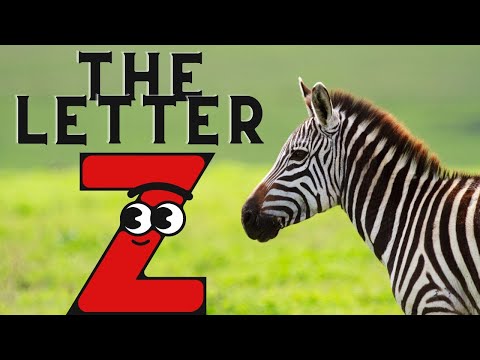 The Letter Z Song! | Let's Learn & Sing | Fun Learning Songs for Kids