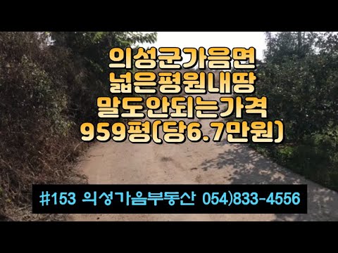 #153 의성가음부동산 도로근처 길위 확트인 묵은밭 959평 6500만 (당6.7만원) 싼물건 전기 수도가능 큰차진입가능 들판 남서향 전망좋은 주말농장 귀농적합 #의성군땅#의성토지