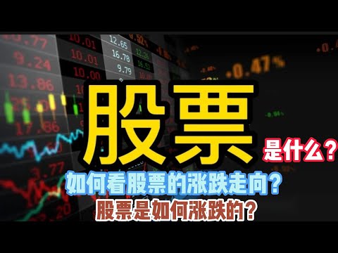 股票是什么？如何看股票的涨跌走向？股票是如何涨跌的？