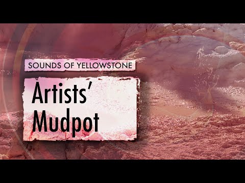 Artists' Mudpot — ASMR, Sleep, Concentration (Sounds of Yellowstone)