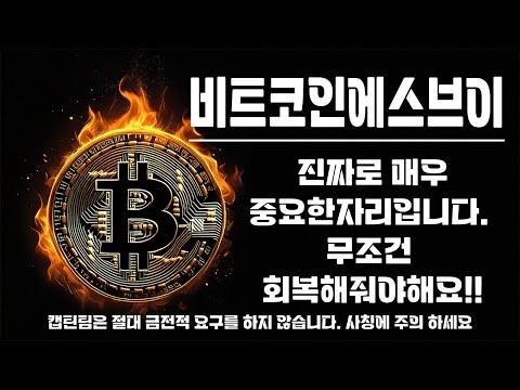 비트코인에스브이 코인 전망 ㅣ 지금 이 친구는 운명이 달린 자리에 위치해있습니다 매매전략 꼭 살펴보고 가세요