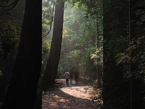 Yana Cave #yanacaves #gokarna #cave #mountains #forest #nature #naturephotography #explorepage #yt