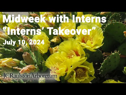 Midweek with Interns - "Interns' Takeover"