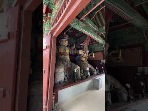 송광사, 완주여행 / songgwangsa, temple, travel in wanju #shorts