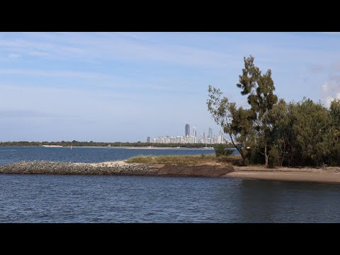 Clam Chowder Lunch with stunning views of the Gold Coast. [ ASMR, Sun, Relaxing, Beach Picnic ]