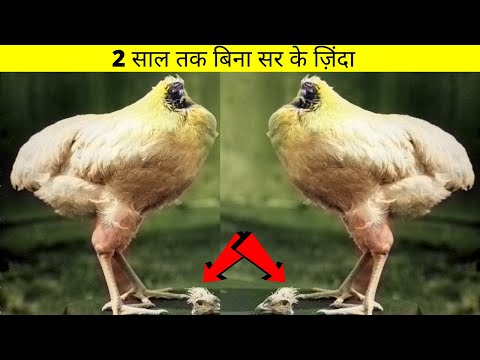 99 % लोग ये बातें नहीं जानते / MOST interesting FACTS about the WORLD