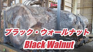 【製材】ブラック・ウォールナット・American Black Walnut Sawing!!