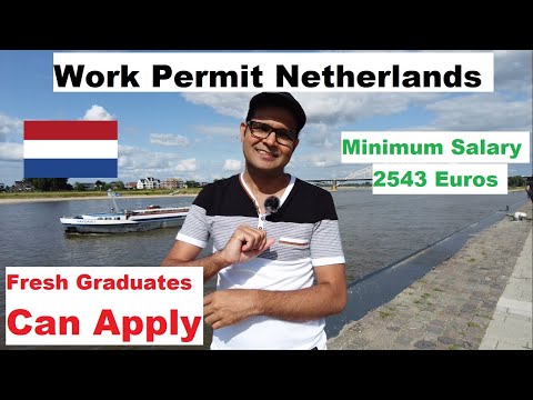 Essential Start-up Personnel Work Visa Netherlands Requirements and Benefits (URDU VLOG)