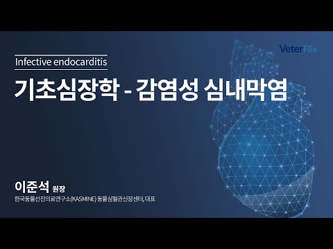 [베터플릭스][기초심장학] 감염성 심내막염(Infective endocarditis)