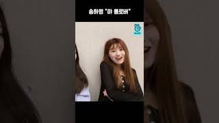 야 플로버!! [프로미스나인]