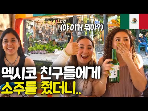 what happening when Mexican and Korean drink together?