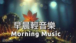 🍁楓葉正在對早晨的陽光輕聲細語, 鋼琴輕音樂, 柔和的鋼琴音樂, 放鬆音樂 Relaxing Music 1 Hour | 早晨音樂 Morning Music