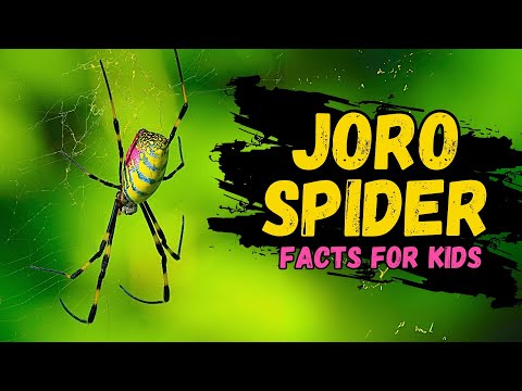 Learn All About Joro Spiders (Facts For Kids)