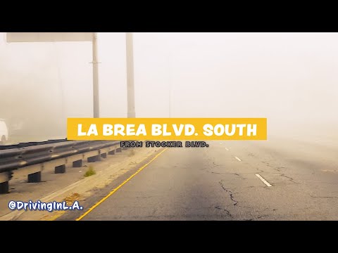 FOGGY DAYS 2016 - STREETS OF L.A. #fog