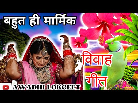 विवाह गीत | अवधी विवाह गीत |  पारम्परिक विवाह गीत | vivah geet | Awadhi vivah geet | Awadhi Lokgeet