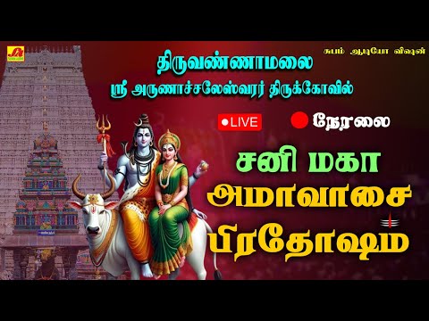 🔴  LIVE   திருவண்ணாமலை பெரியநந்தி  சனி மகா அமாவாசை பிரதோஷம் அபிஷேகம்  #livesaniprodhasham