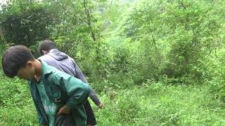 Immersing in Cultural Heritage: Forest Survival Trek with Ethnic Minority Guides