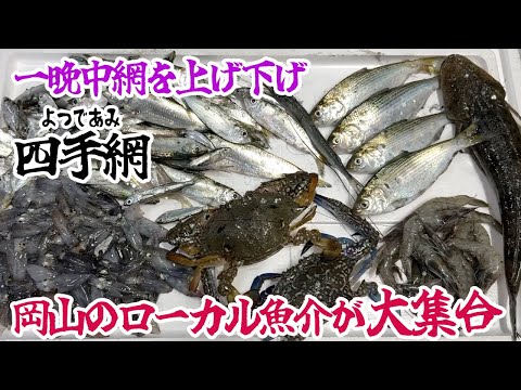 四手網で岡山のローカル魚介が大集合！