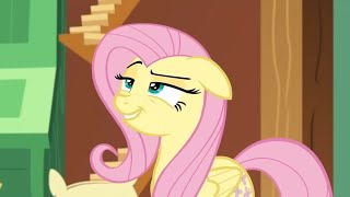 [MLP:FiM] Fluttershy Being Assertive/Confident/Sassy (Compilation)