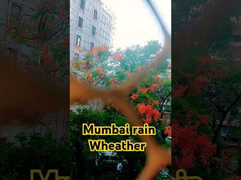 Barish ke aane se shorts video ll #shortvideos #barishkeaanese #rainyday #viralvideos