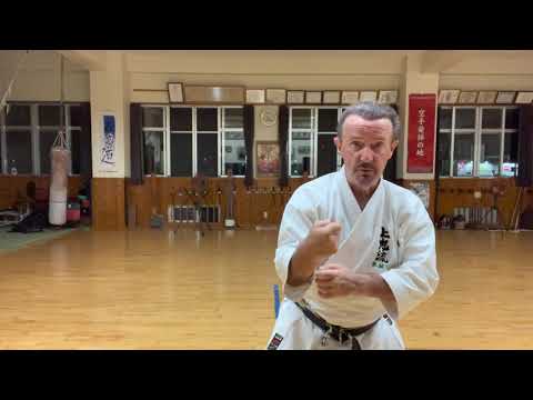 Uechiryu Sanseiryu segment explained #karate #okinawa #空手 #沖縄 #上地流 #uechiryu