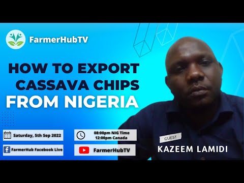 How to Export Cassava chips from Nigeria