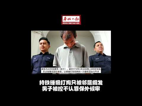 华侨日报全国新闻：持铁锤狠打狗只被邻居揭发 男子被控不认罪保外候审