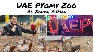 UAE PYGMY ZOO | Animal Park | Al Zohrah | Marina 1| Zoo in Ajman |