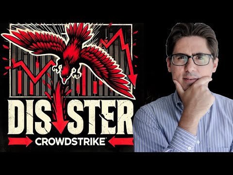 CROWDSTRIKE (CRWD) STOCK CRASH! Cybersecurity BARGAIN or OVERVALUED?