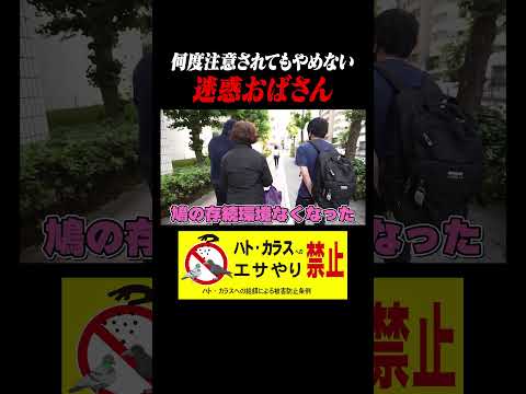 【禁止】ハトに餌をあげる迷惑BBAがやばい…注意したら謎の言い訳で逃亡ｗｗｗｗ