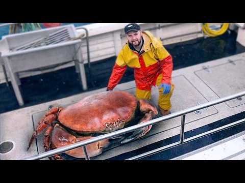 10 Most Horrifying Crustaceans In The World