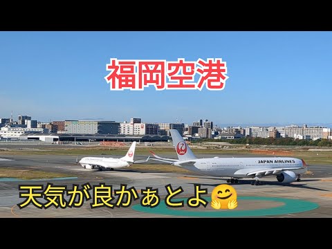 [Fukuoka Airport] The weather is nice😍23-7