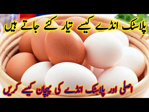 Fake and original eggs in market|eggs price in Pakistan|Poultry farming in Pakistan|Business ideas