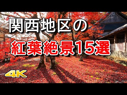 【4K 関西の紅葉🍁絶景15選】人気の名所を紹介します