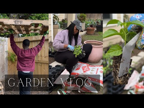 Building the Spring Garden: One Simple Task at A Time