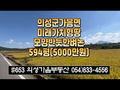 #653 의성가음부동산 가격인하!! 5m도로접 들판 경지정리된 벼논 594평 5000만 (당8.4만원) 큰차진입가능 전기가능 반듯한 위치좋은 다용도땅 투자가치^ #의성땅#의성벼논