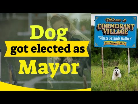 Dog got elected as Mayor