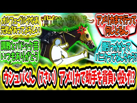 『ウシュバテソーロくん（7さい）、アメリカで調教助手に背負い投げをかます!?』に対するみんなの反応【競馬の反応集】