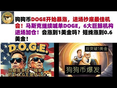 狗狗币DOGE开始暴涨，进场抄底最佳机会！马斯克继续喊单DOGE，6大巨鲸机构进场加仓！会涨到1美金吗？短线涨到0.6美金#DOGE币#马斯克狗狗币#DOGE行情分析!