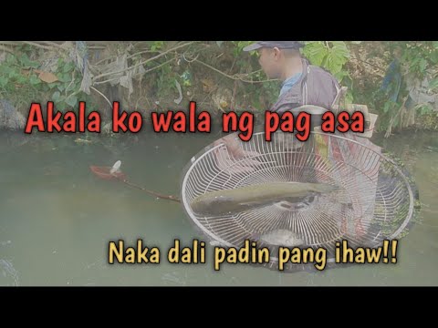 Mahal na araw| Jackpot kami!! | Kanorio M.V