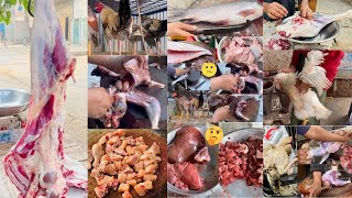 🔥 Raw & Real! The Truth Behind Meat Processing 🥩🐓🐟