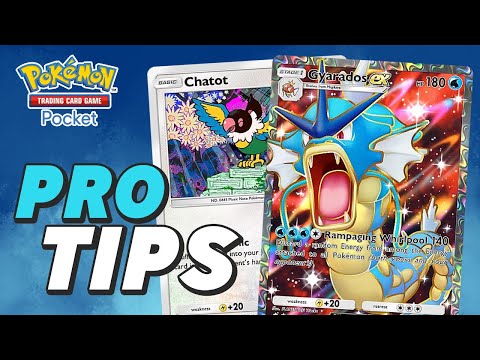 How to dumpster the meta with Gyarados ex || Pokémon TCG Pocket deck list and gameplay