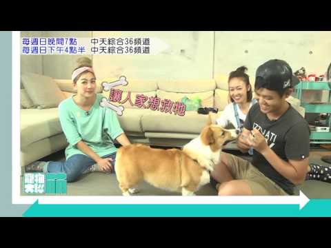 寵物大聯萌#32 20秒PROMO