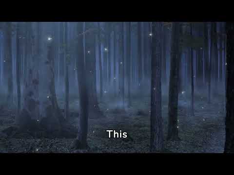 Fireflies and their enchanting light displays #natureshorts