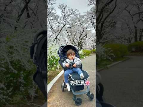 桜満開の階段のぼった　#1歳5ヶ月男の子