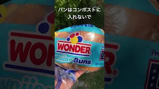 パンはコンポストには入れません#カリフォルニア生活 #compost #コンポスト